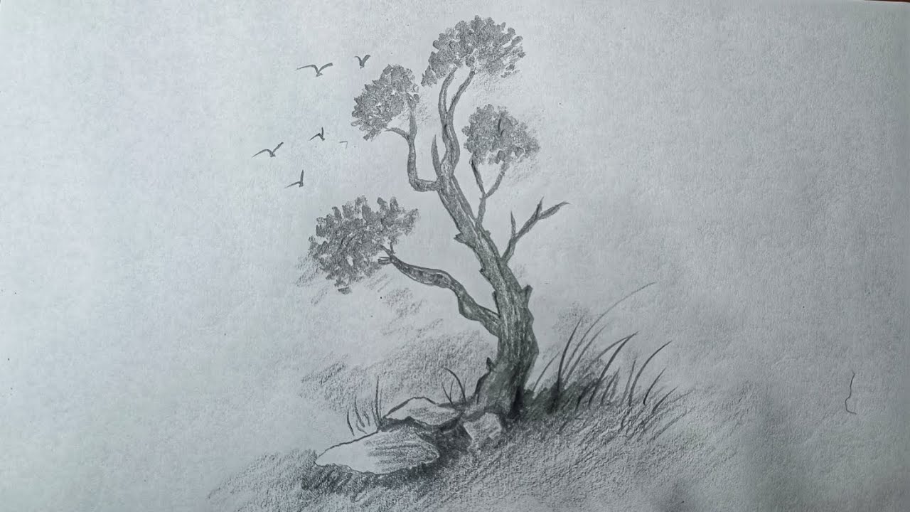 How to Draw a Tree