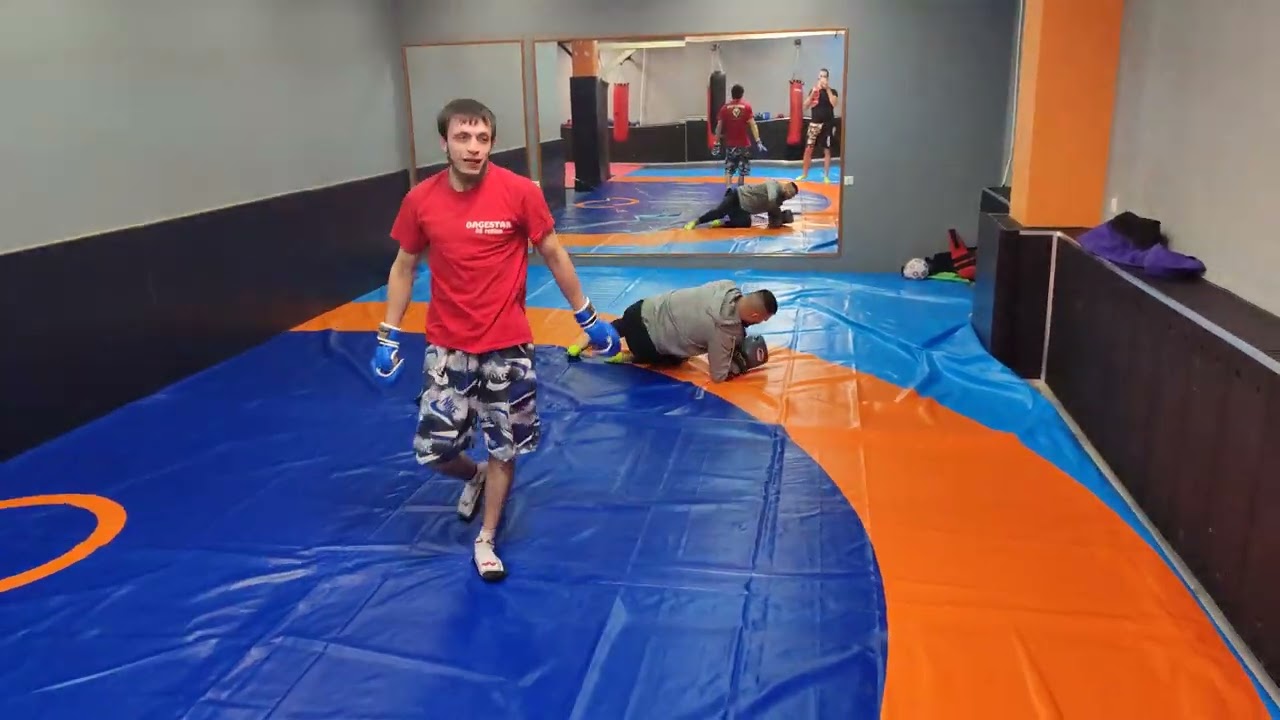Тренировка по MMA