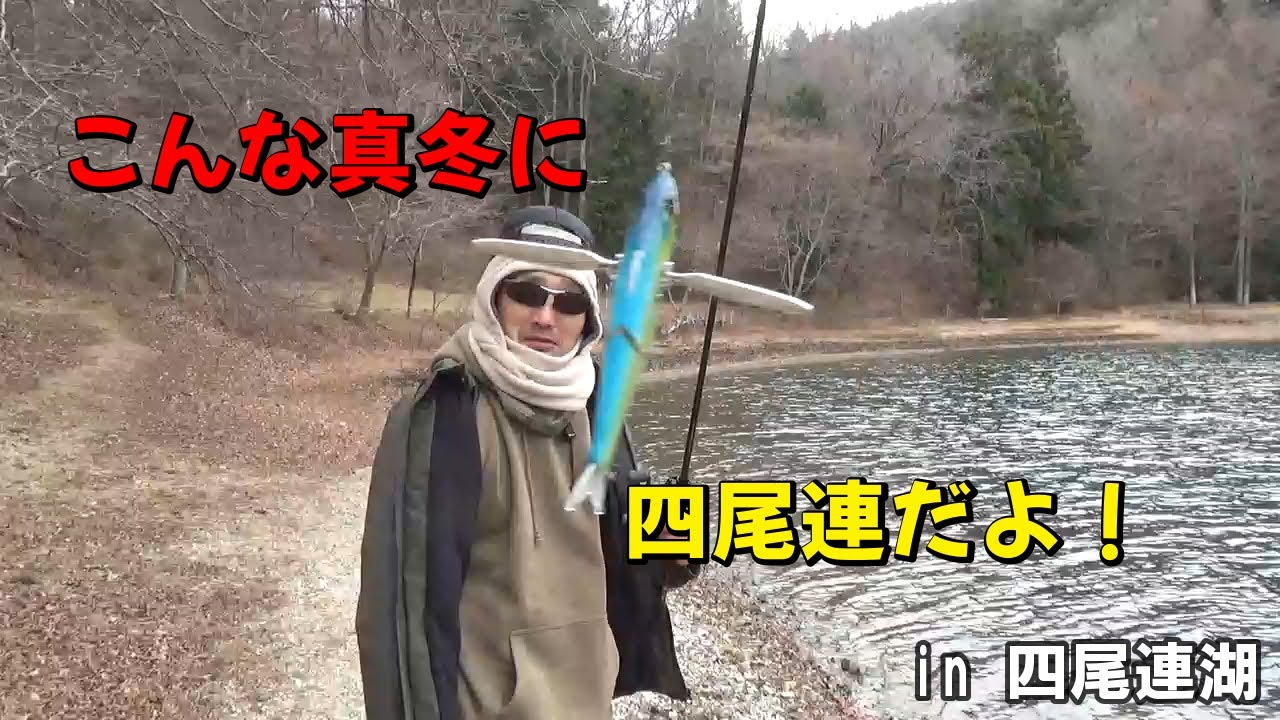 釣りガマンを求めて第百六十七釣夜　四尾連湖編