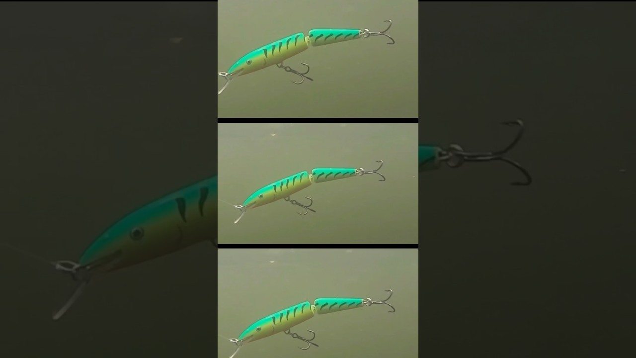 Рыболовная приманка Rapala с шарнирным соединением #рыбалка