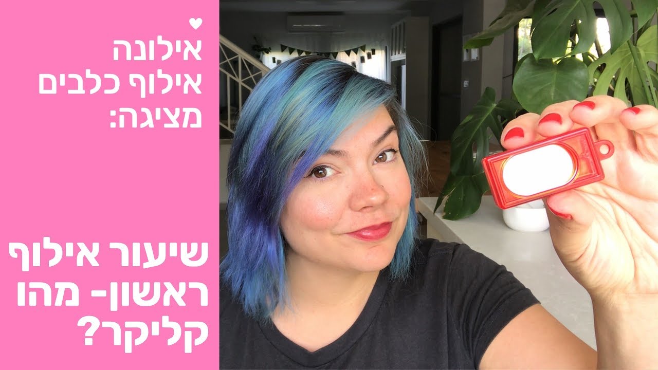 שיעור אילוף ראשון -הדרכה מצולמת- איך מאלפים כלב עם קליקר? אילוף כלבים ביתיים - אילונה אילוף כלבים