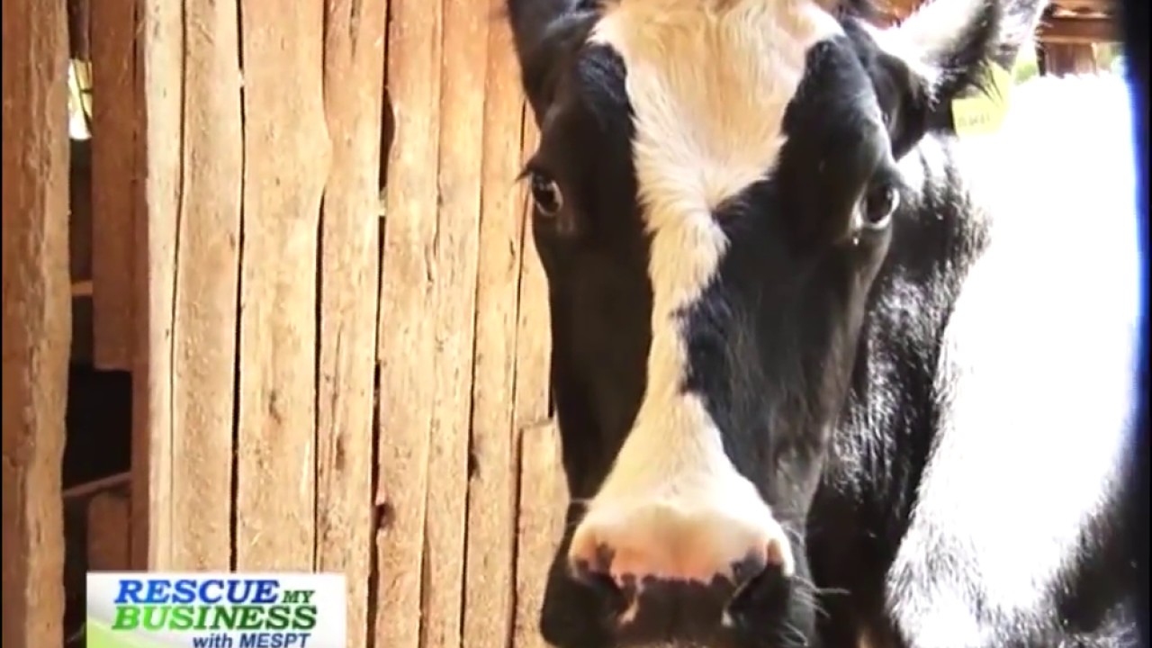 RMB Dairy value chain Eps 5