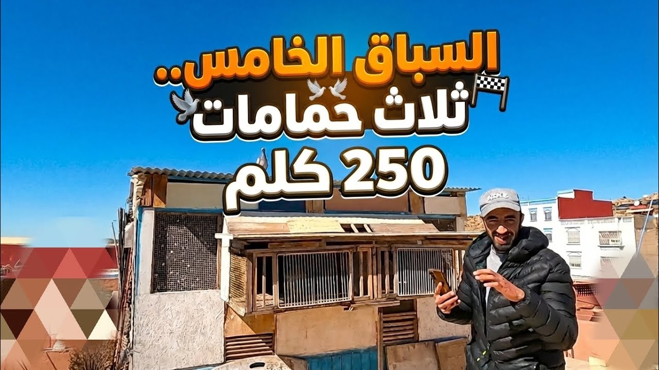 السباق الخامس 250 كلم رياح عكسية 🫡🫣 13/14 ✅✅
