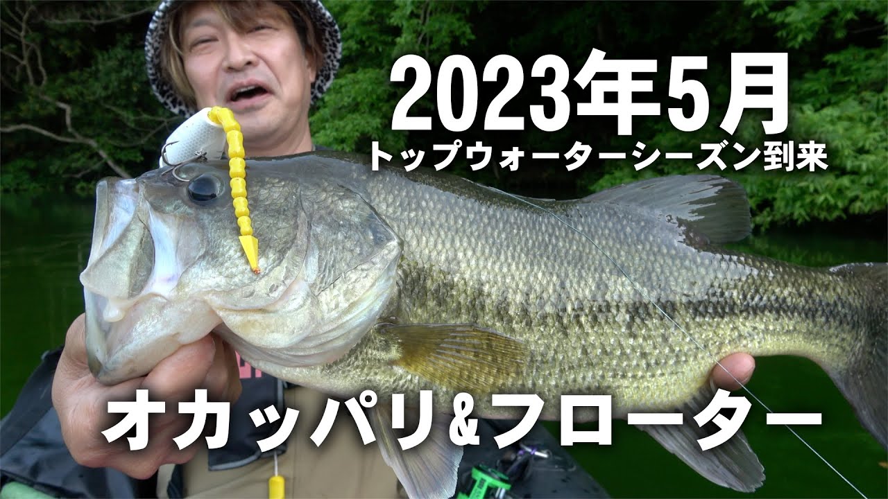 オカッパリ&フローター 2023年トップウォーターシーズン来ました！