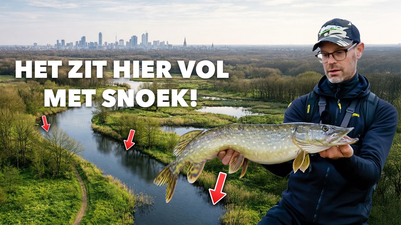 Wij vangen MEGA VEEL snoeken in de POLDER! (BIJZONDERE VANGST)
