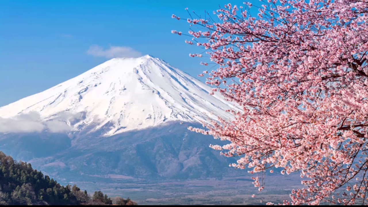 Adultswim bump - Mount Fuji