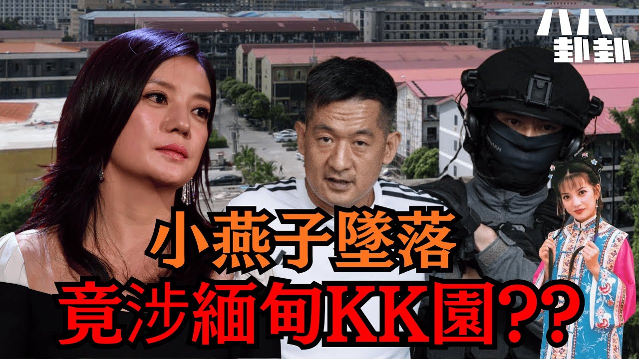 前夫引爆緬甸KK園，趙薇的死局早已注定？從女巴菲特到人間蒸發的驚天黑幕！｜八八卦卦