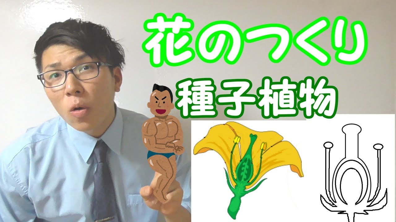 【中学理科】花のつくり～種子植物～ 1-3【中１理科】