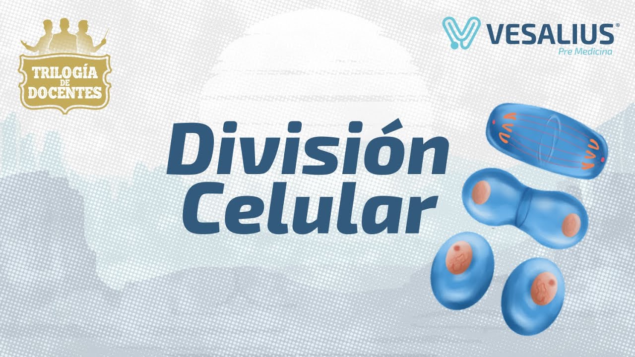 DIVISIÓN CELULAR