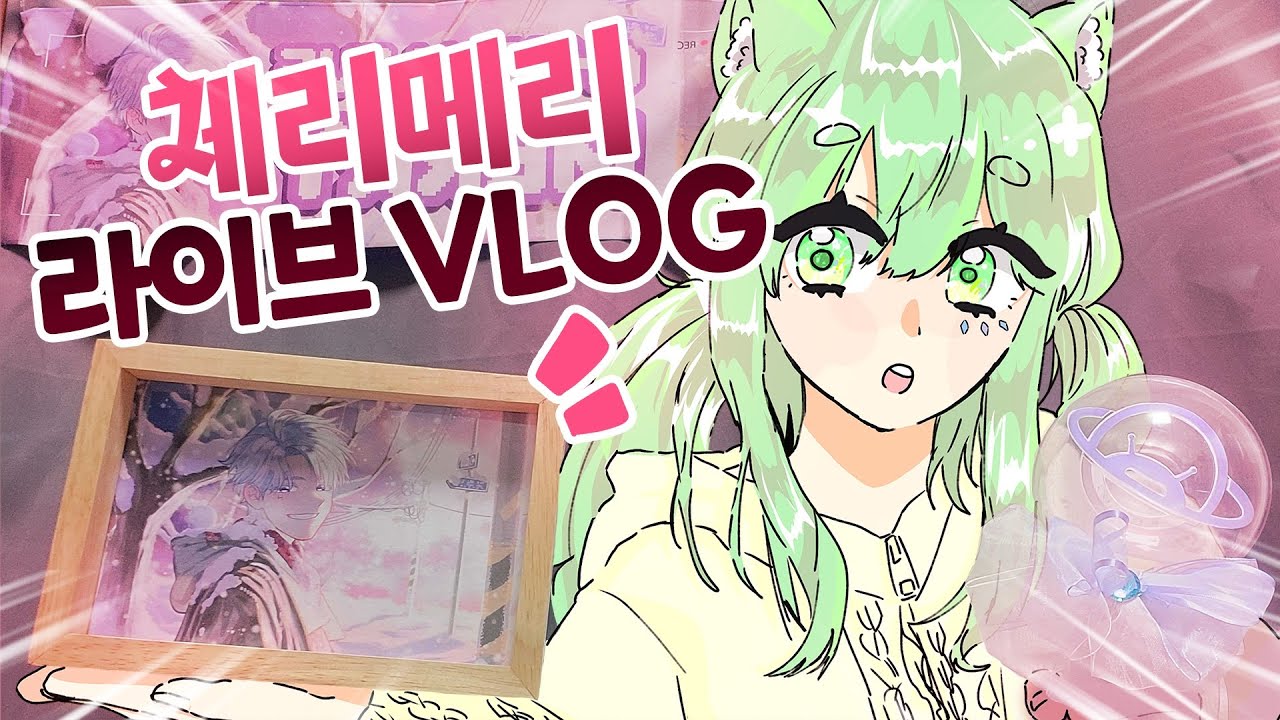최애의 콘서트에서 브이로그를 찍는 녹음러가 있다!? | Empty Live Vlog 최애의 콘서트에서 브이로그를 찍는 녹음러가 있다!? | Cherry Merry Live Vlog