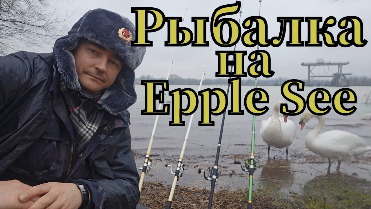 Активная рыбалка🎣 на Epple See клюнула плотва #рыбалка #angeln #fishing #pêche  #see #shots #плотва