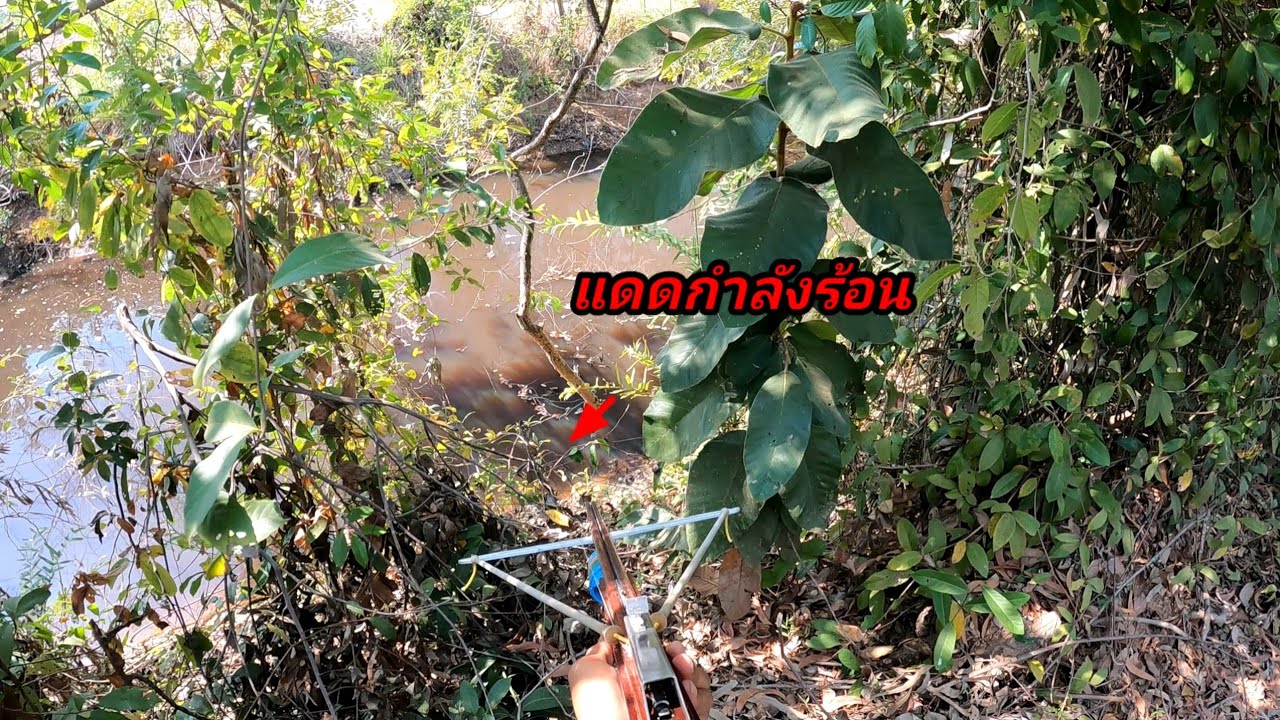 เลาะหาปลาหลบแดด