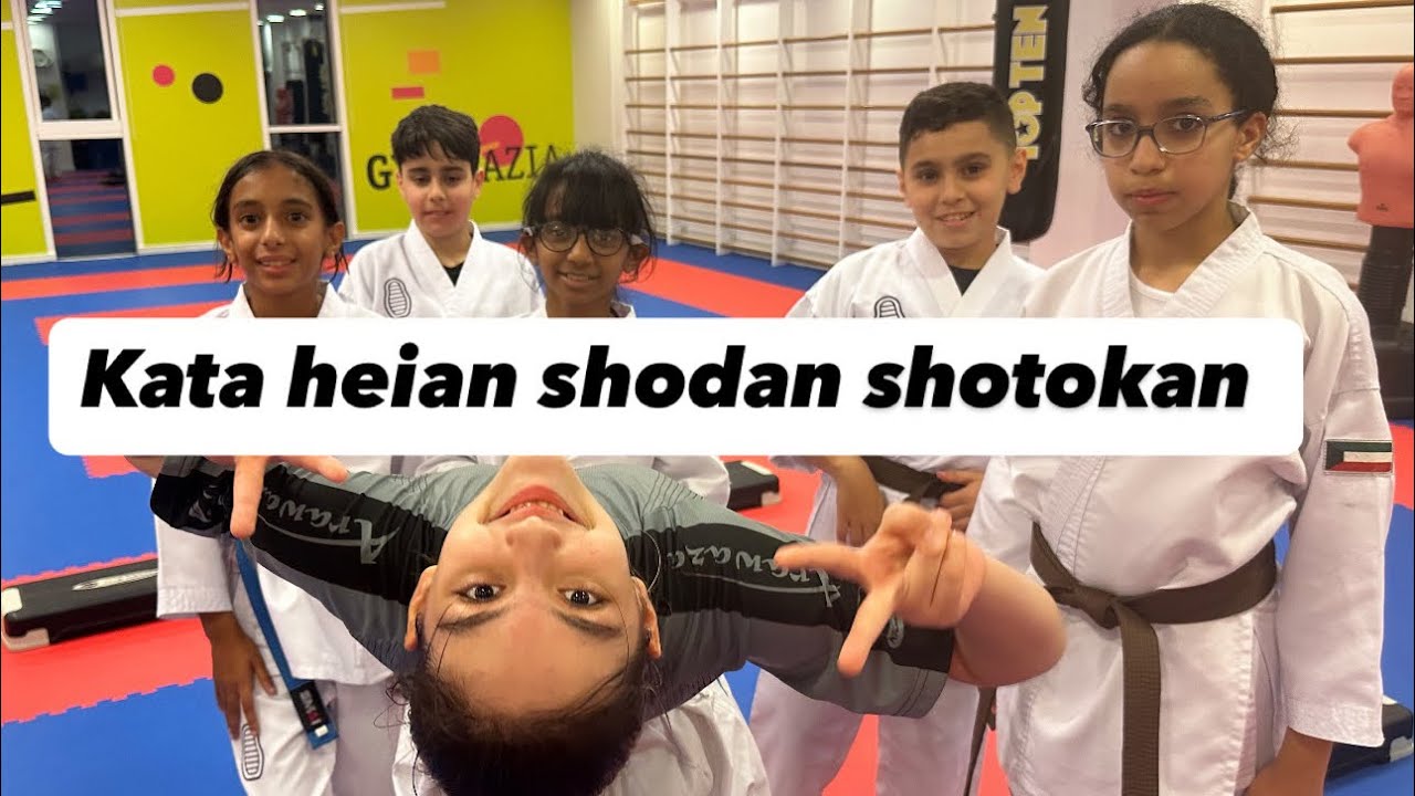 Kata heian shodan shotokan style. Anil Shariatpanahi #karatekata #karate #karategirl #karatedo #
