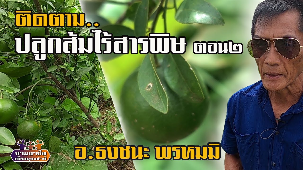 ติดตาม..เยี่ยมชม