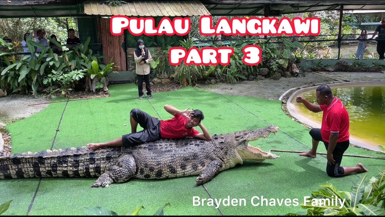Buaya besar & Jinak  di Taman buaya Langkawi | Pulau Langkawi 2022 | Part 3