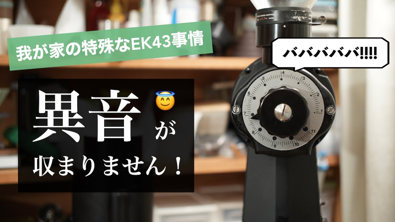 【助けてください】止まらない異音 〜我が家のEK43の近況〜