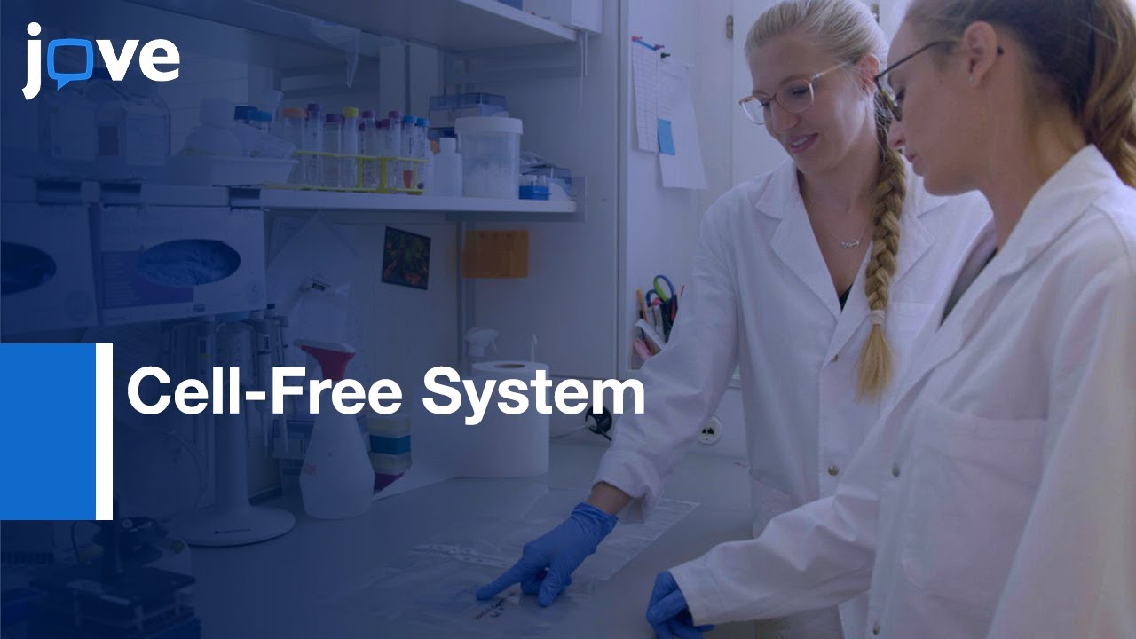 OnePot PURE Cell-Free System l Protocol Preview