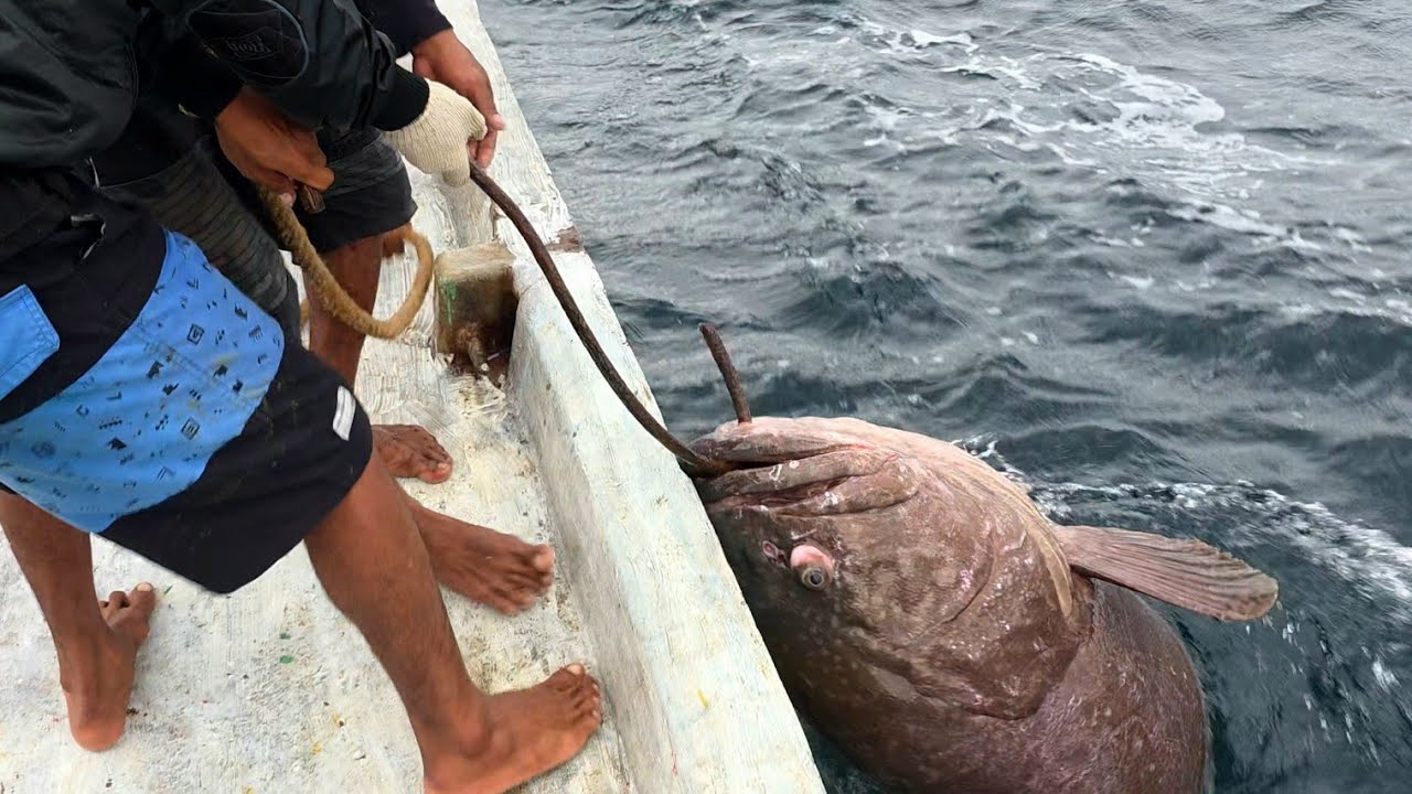 Big grouper!!! MANCING KERAPU DILAUTAN LEPAS!