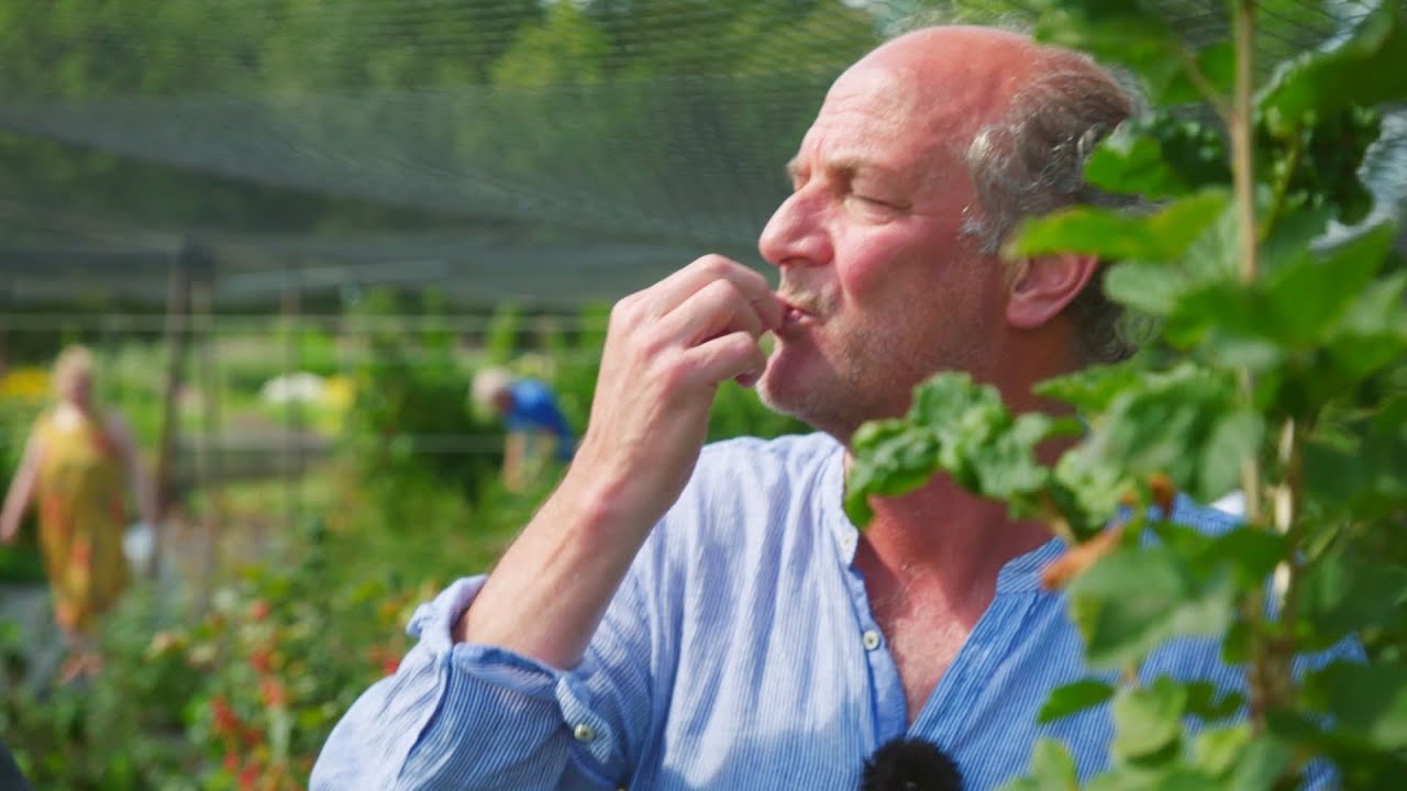 Hermus proeft het Noorden aflevering 6 Bessen plukken