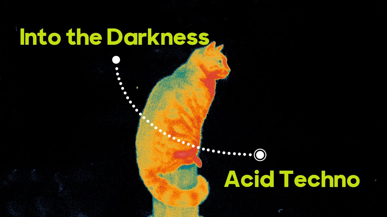 Into the Darkness – Acid Techno DJ Set ( Visual Loop )