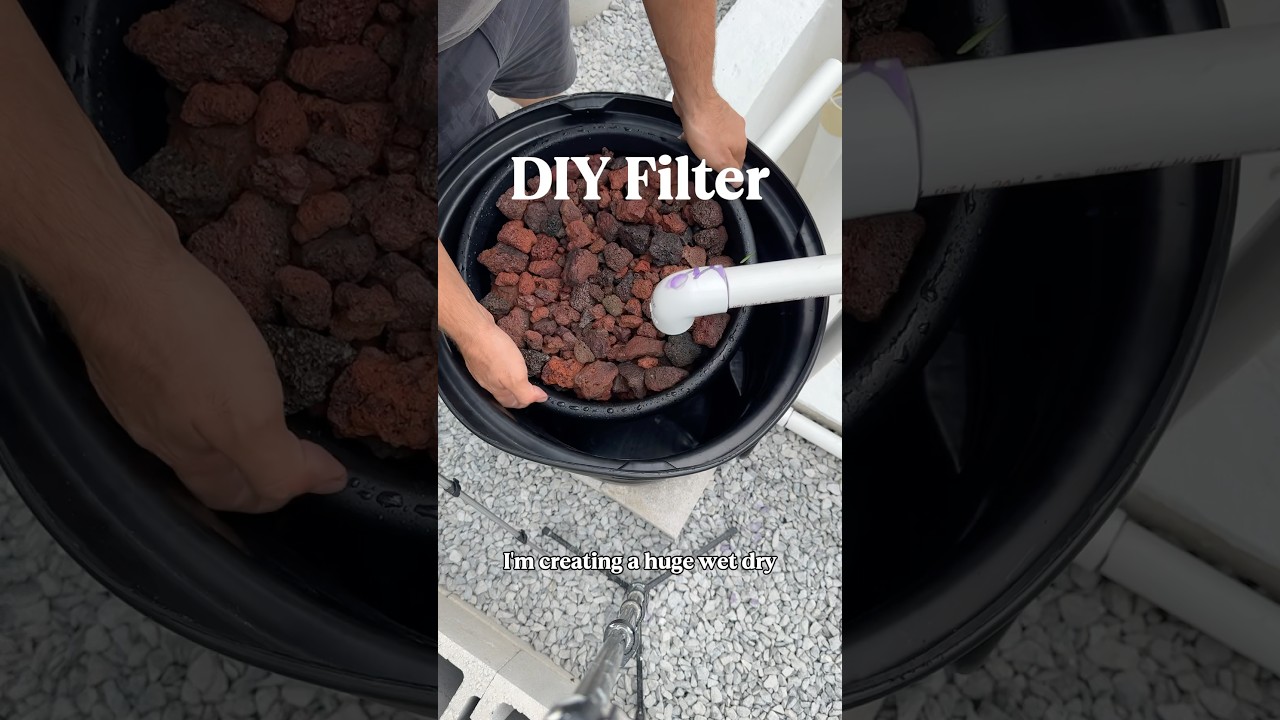 Creating a wet/dry tickle down pond filter