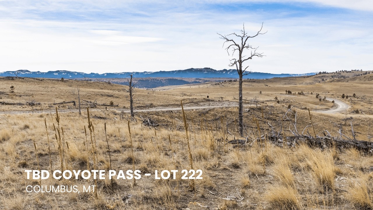 Lot 222, Columbus, MT