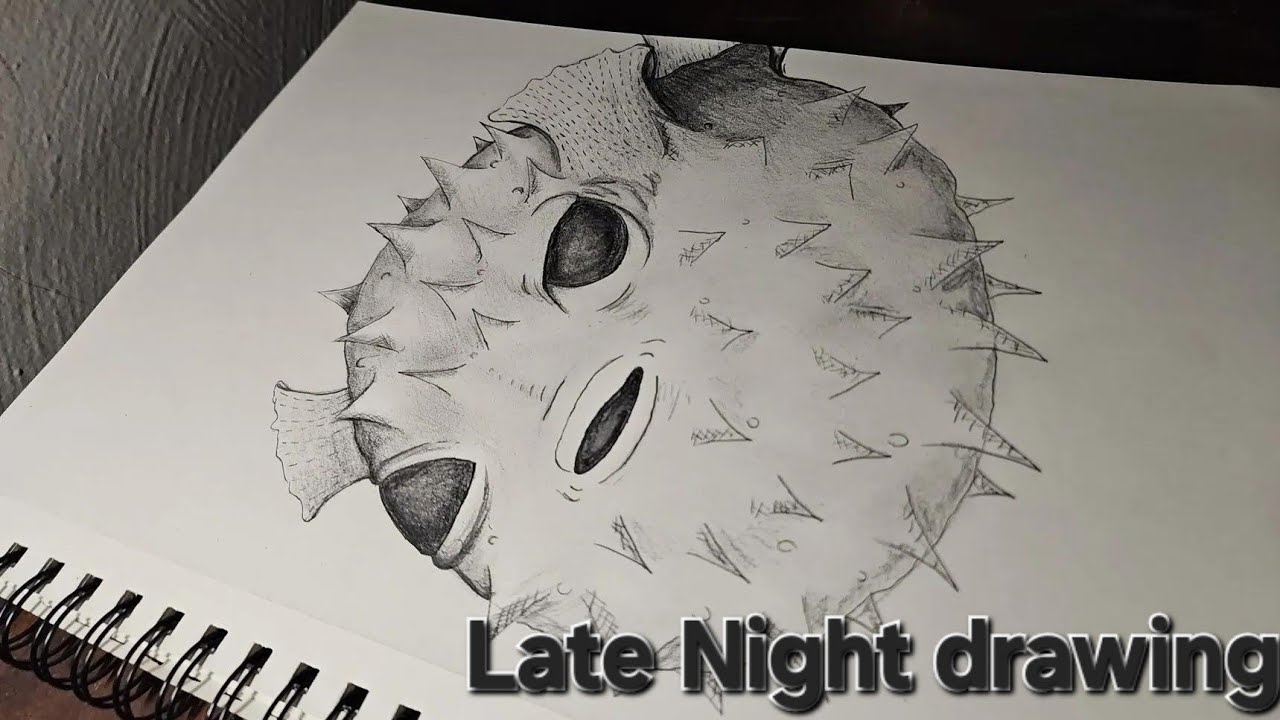 Puffer fish drawing (part 1.)
