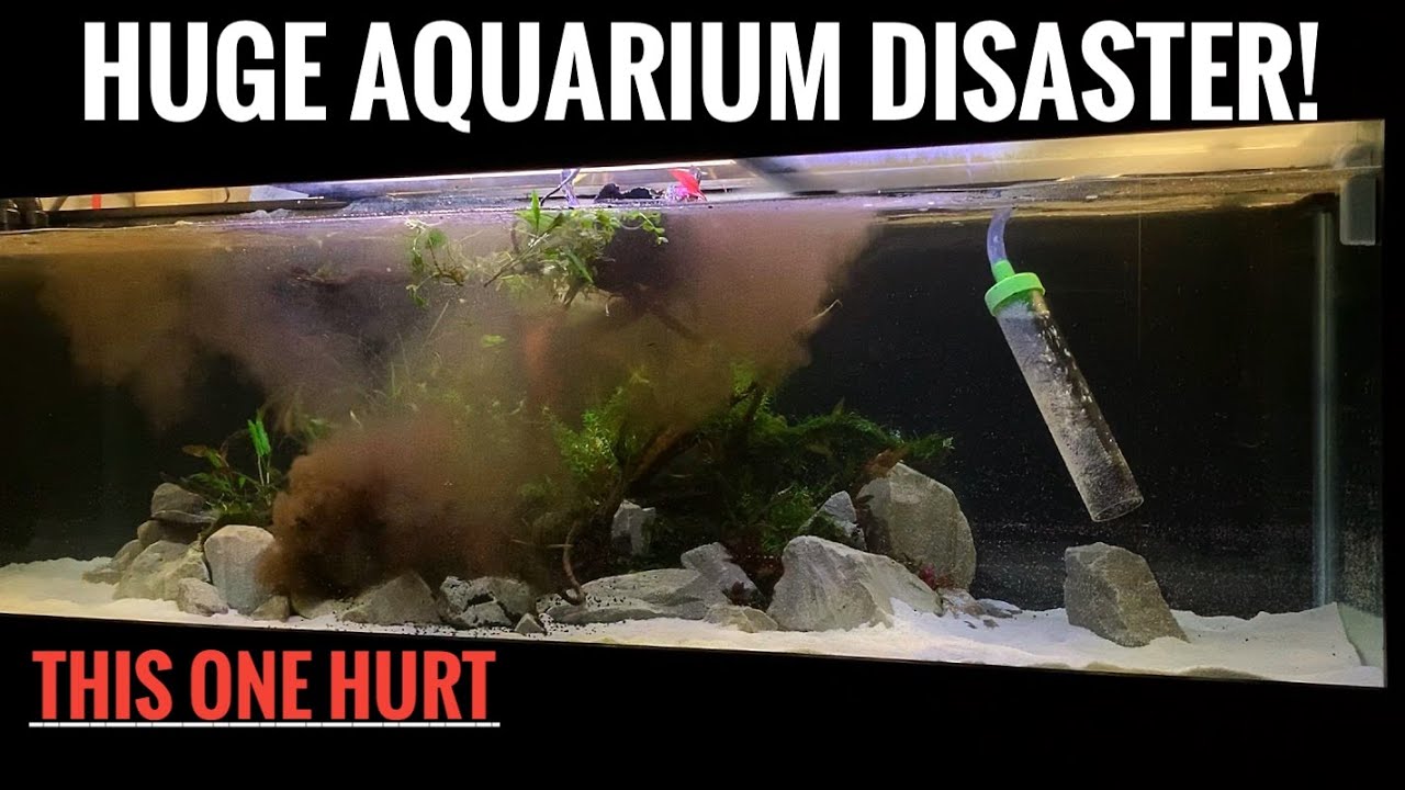 125 GALLON AQUARIUM DISASTER! | Big Planted Aquarium- Episode 1