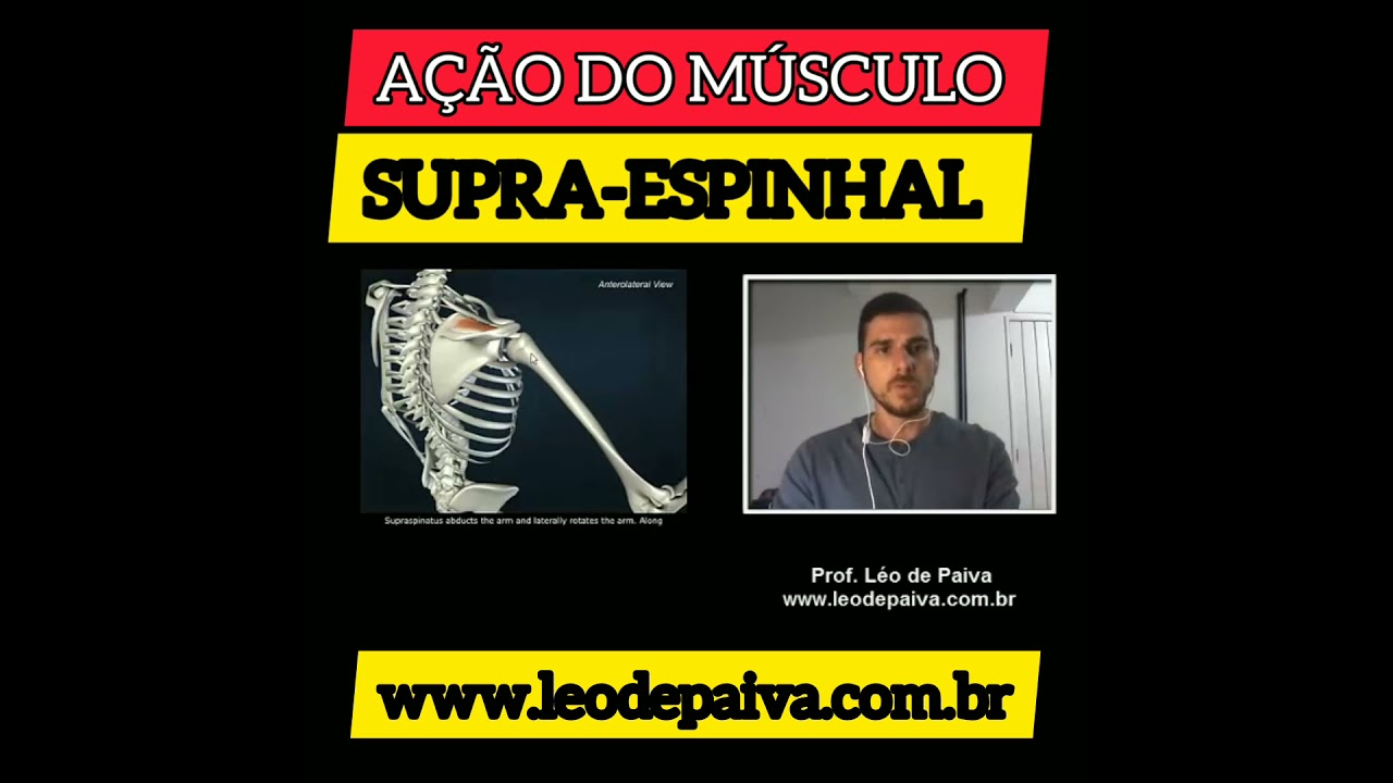 A&Ccedil;&Atilde;O DO M&Uacute;SCULO SUPRA-ESPINHAL