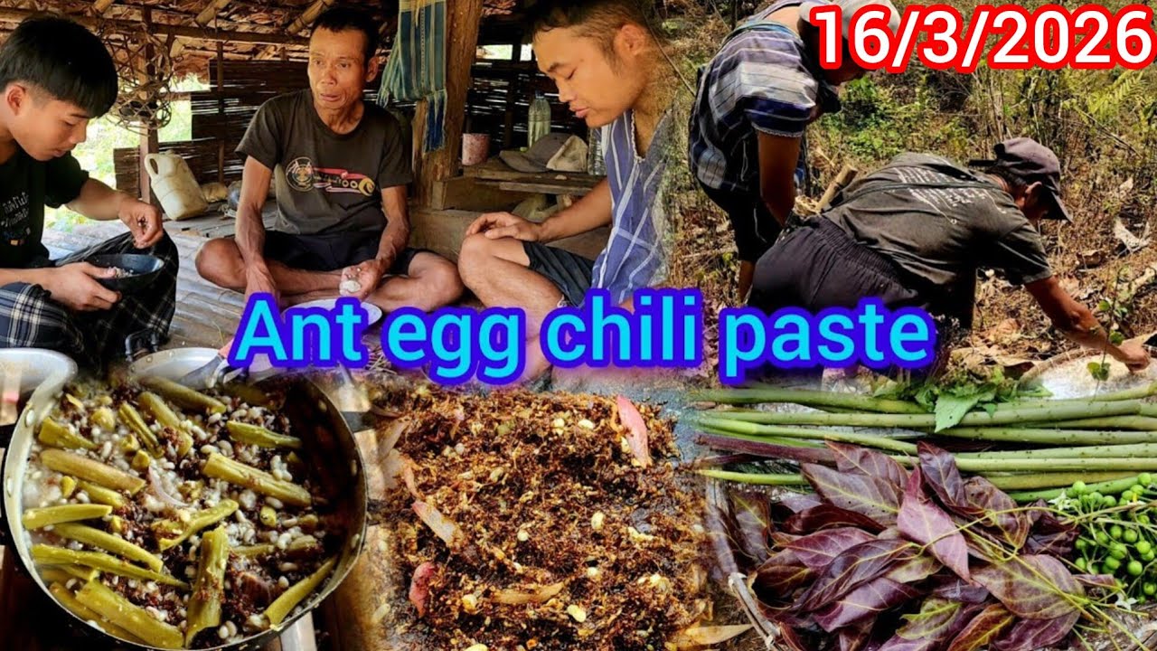 မိၤဂံာ်တိၢ်တၢၢ်သုၣ်ဒံၣ်ဖီအီဃိးနီၣ်တုၢ်ပျိၢ်ထံဝံၣ်ဝံၣ်