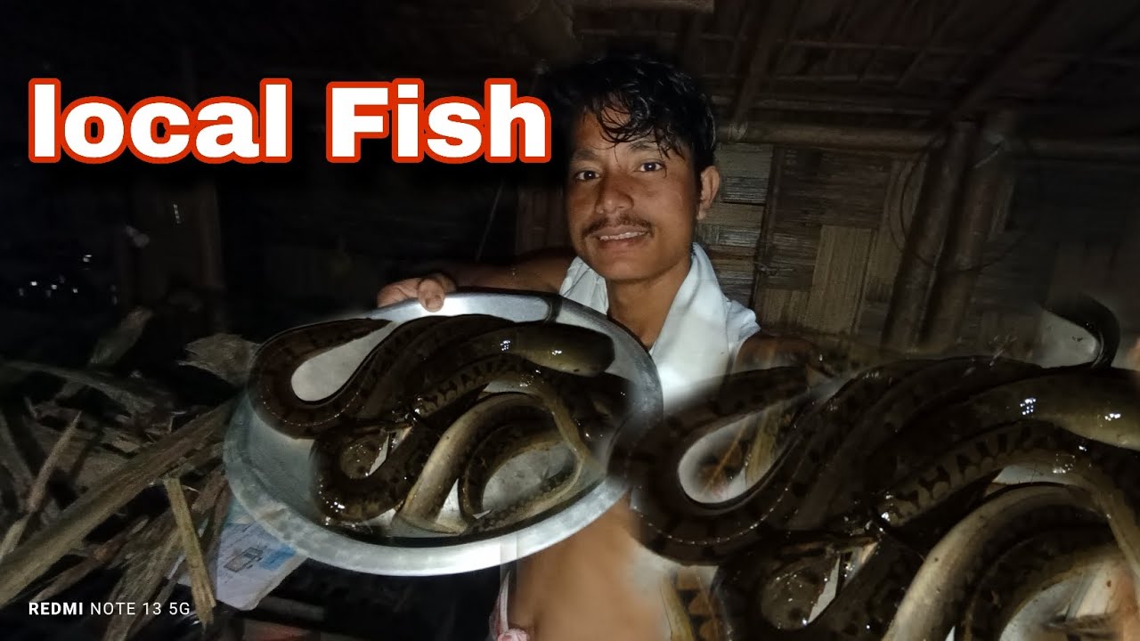 Local fish🐋 Anaconda Indra the explore 2.0