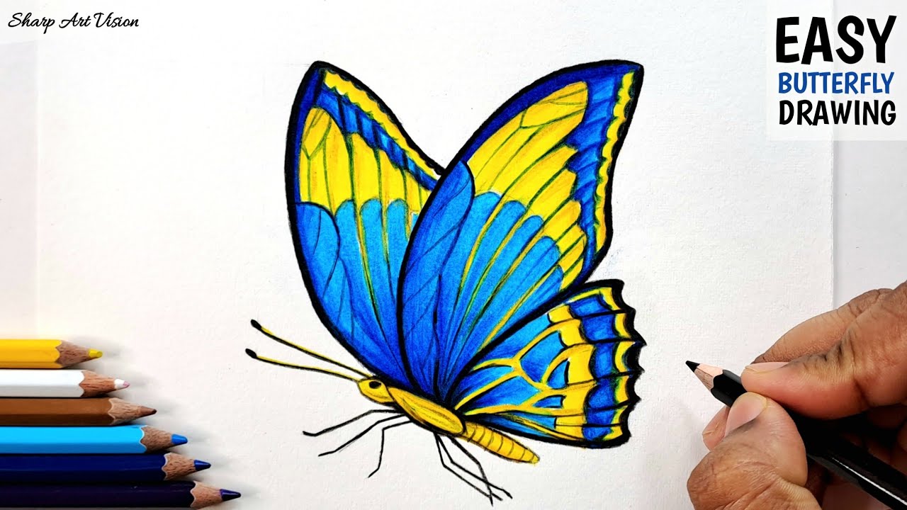 Pencil Colour Drawing - Of Butterfly for Beginners / How to draw a Butterfly with Colour Pencils 