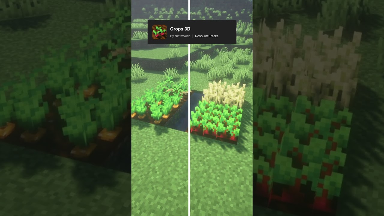 MEJORES TEXTURAS para MINECRAFT 🌾💎 | #3