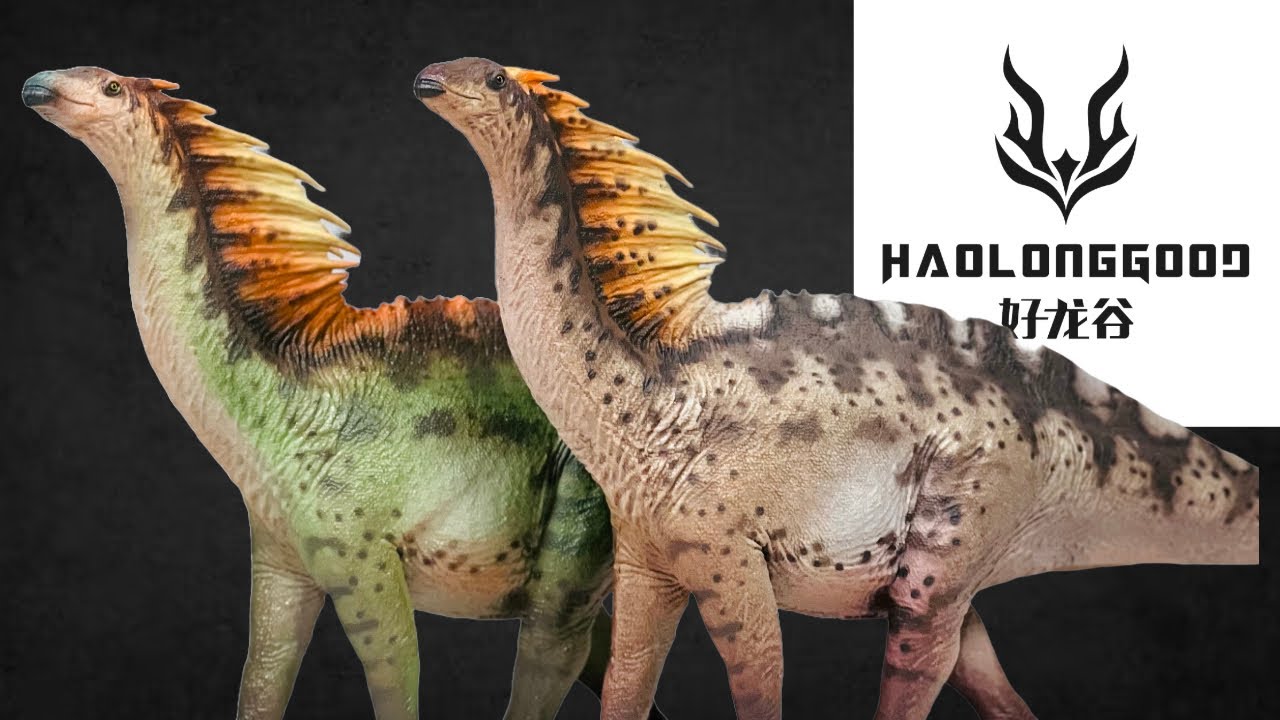 Обзор Haolonggood Amargasaurus !! Масштаб 1:35 Новинка 2024 года