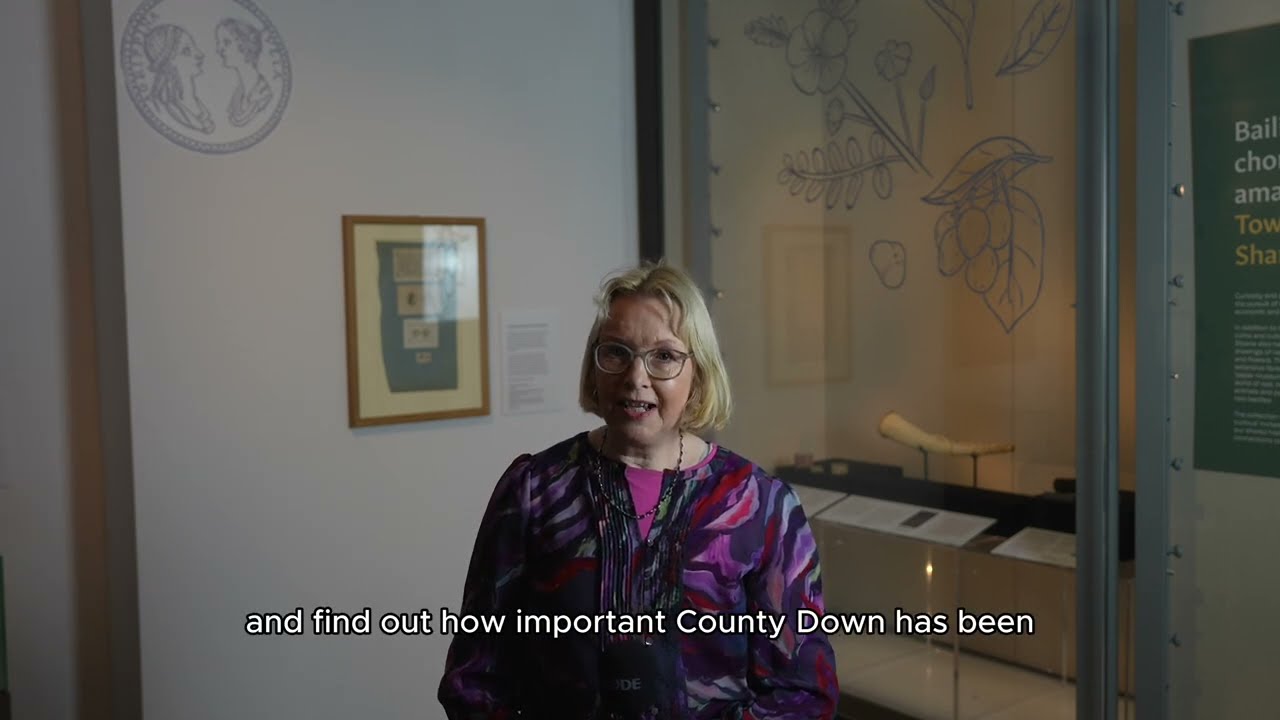 For the Curious Project | The British Musuem