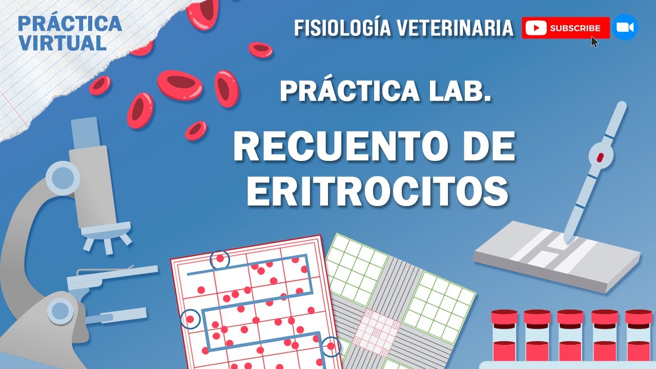 FISIO1_RECUENTO DE ERITROCITOS