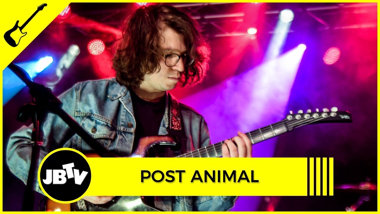 Post Animal - Ralphie | Live @ JBTV