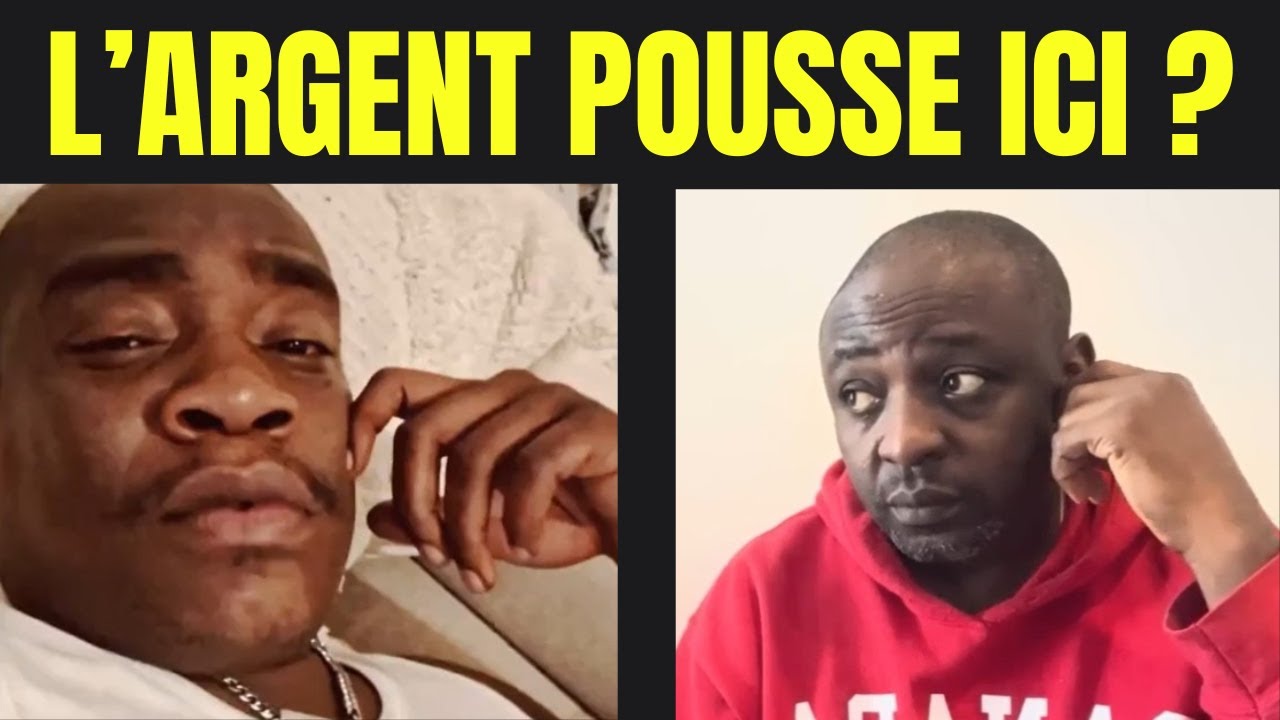 Ils pensent que l’argent pousse en Europe… voici la vérité