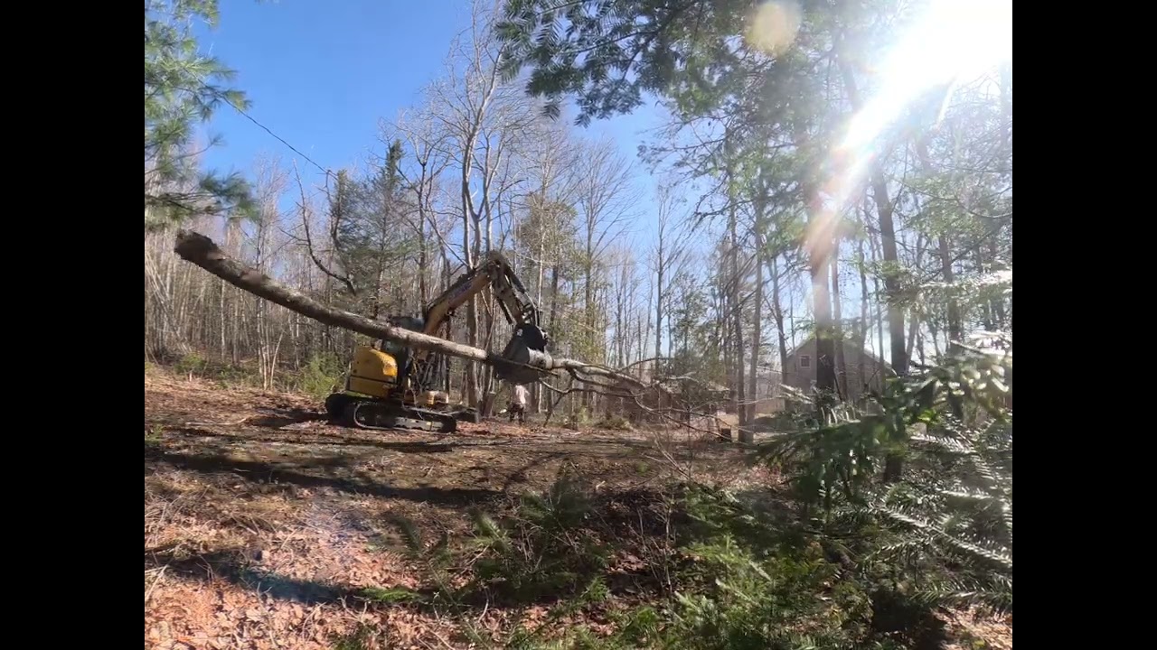 tree removal in Ellsworth Maine. excavator and chipper. @GuiltyofTreeson @MorbarkBrands