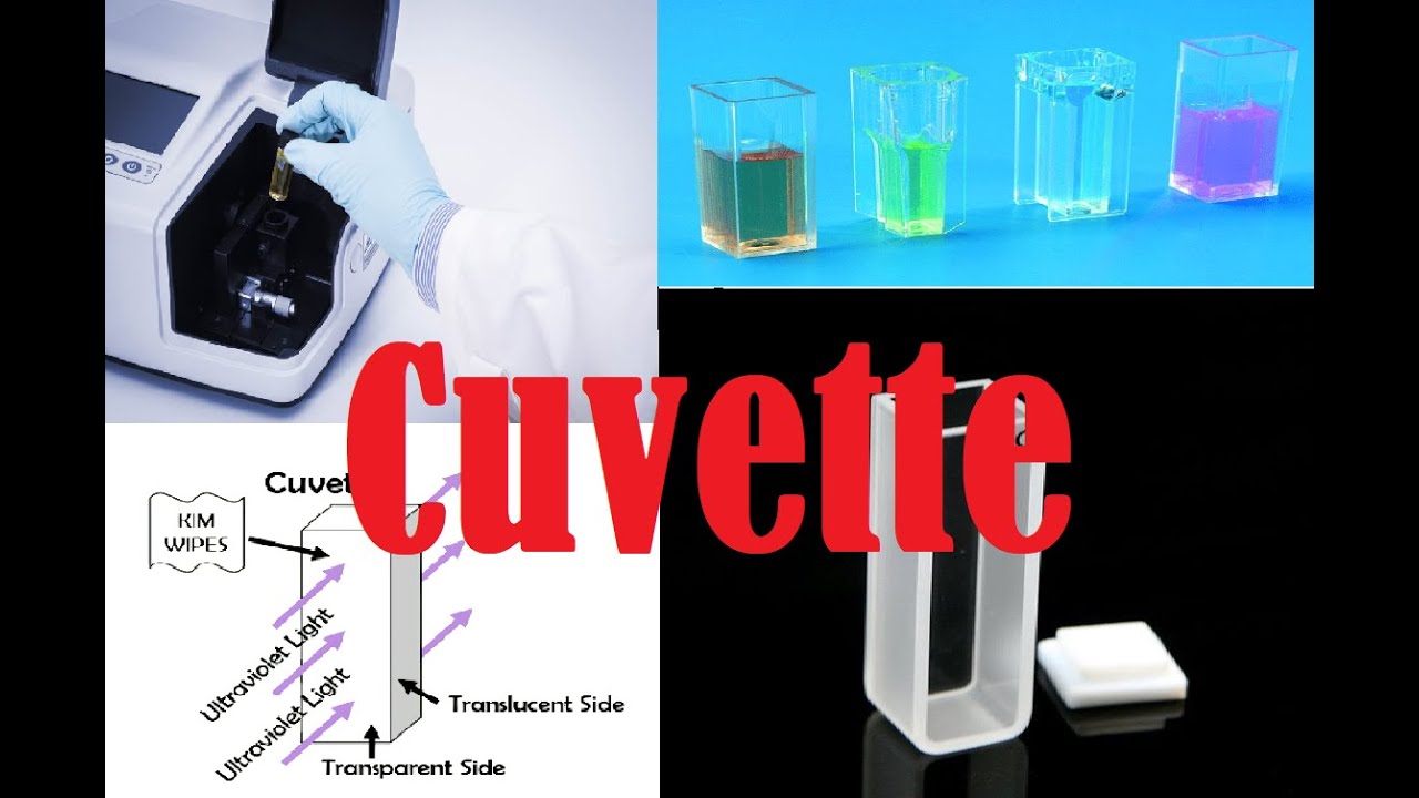 Cuvette