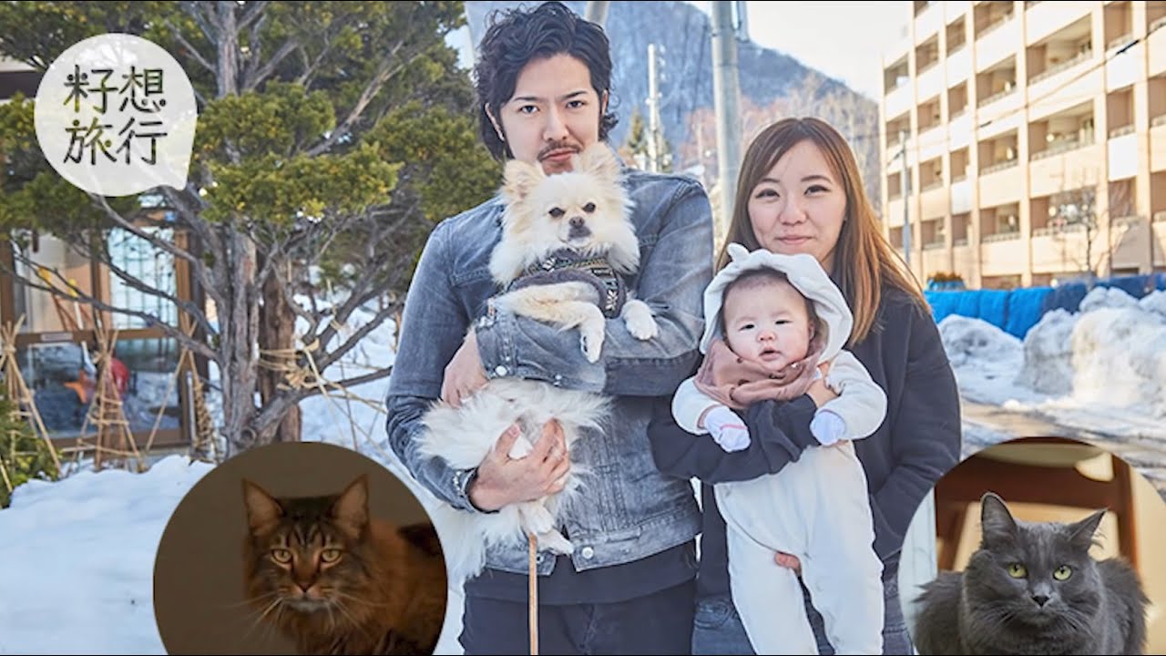 原刊日期2020 寵物移民合輯 湊兩貓一狗移民北海道 每隻使八千都值 動物蘋台果籽 香港 Apple Daily