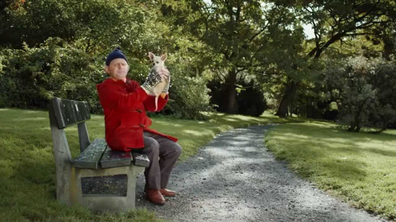 Kva er kvarg? En bitteliten hund? (Riksm&aring;l: Hva er kvarg?)