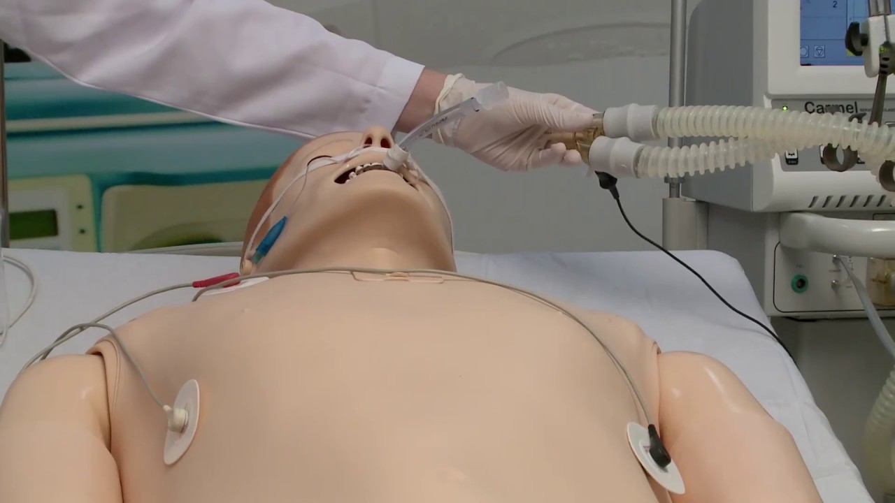 VÍDEO 1 - IDENTIFICAÇÃO DO PACIENTE EM SUSPEITA DE MORTE ENCEFÁLICA