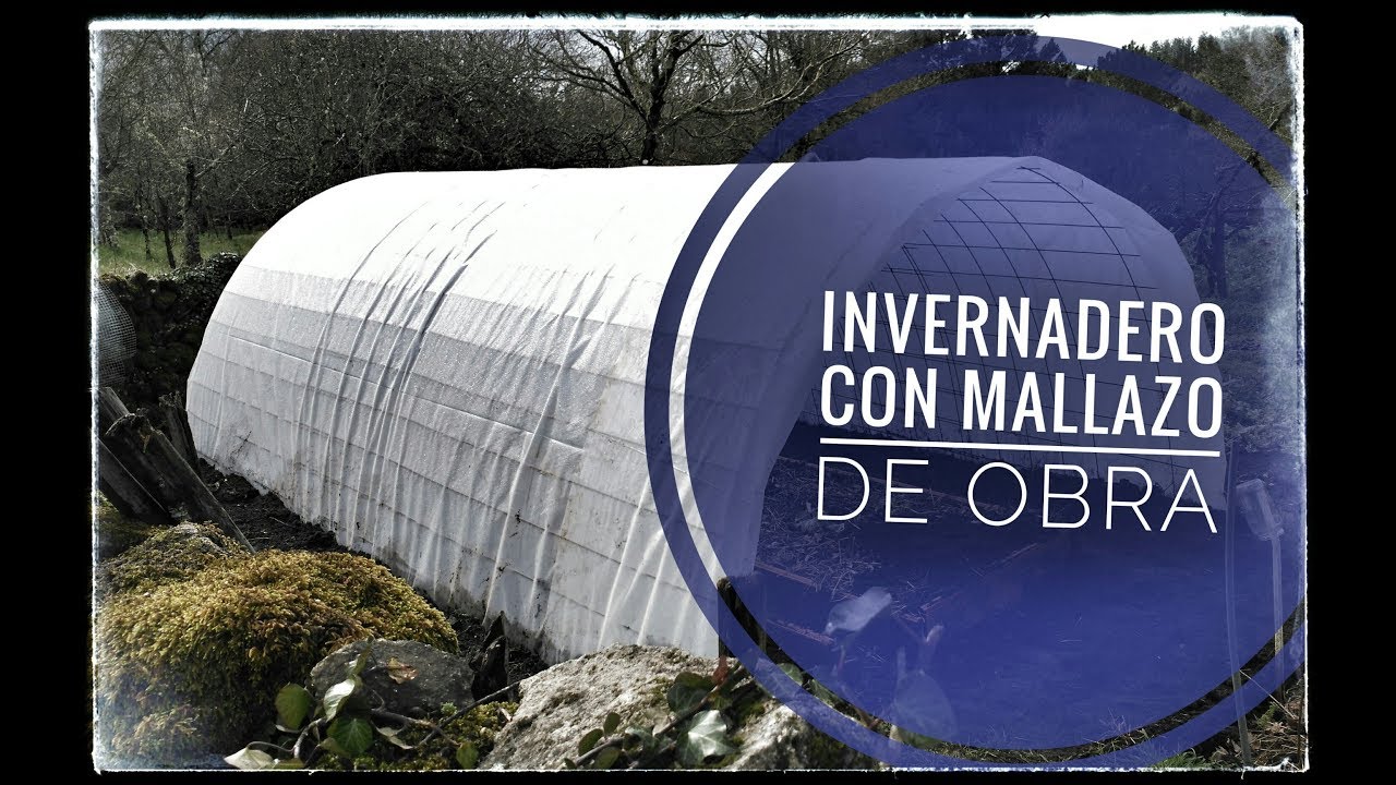 Vlog || Capítulo #49 || Mi nuevo invernadero hecho con mallazo de obra