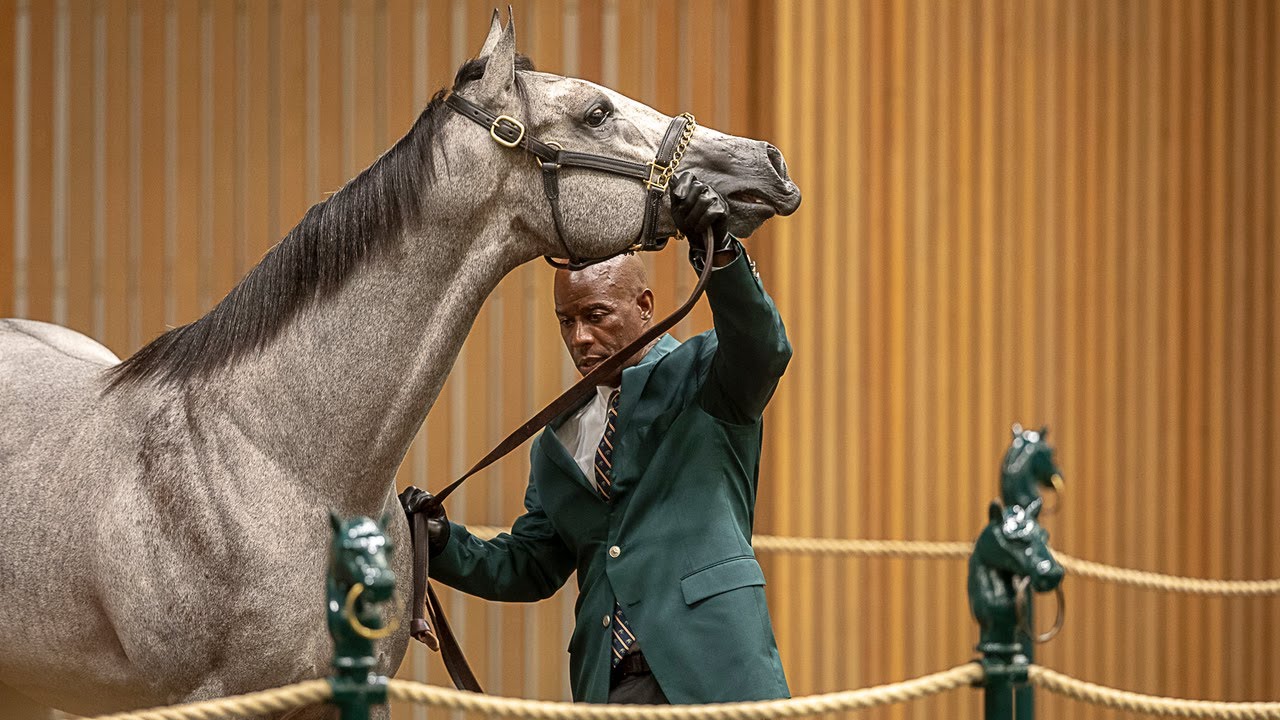 Keeneland September Sale: 