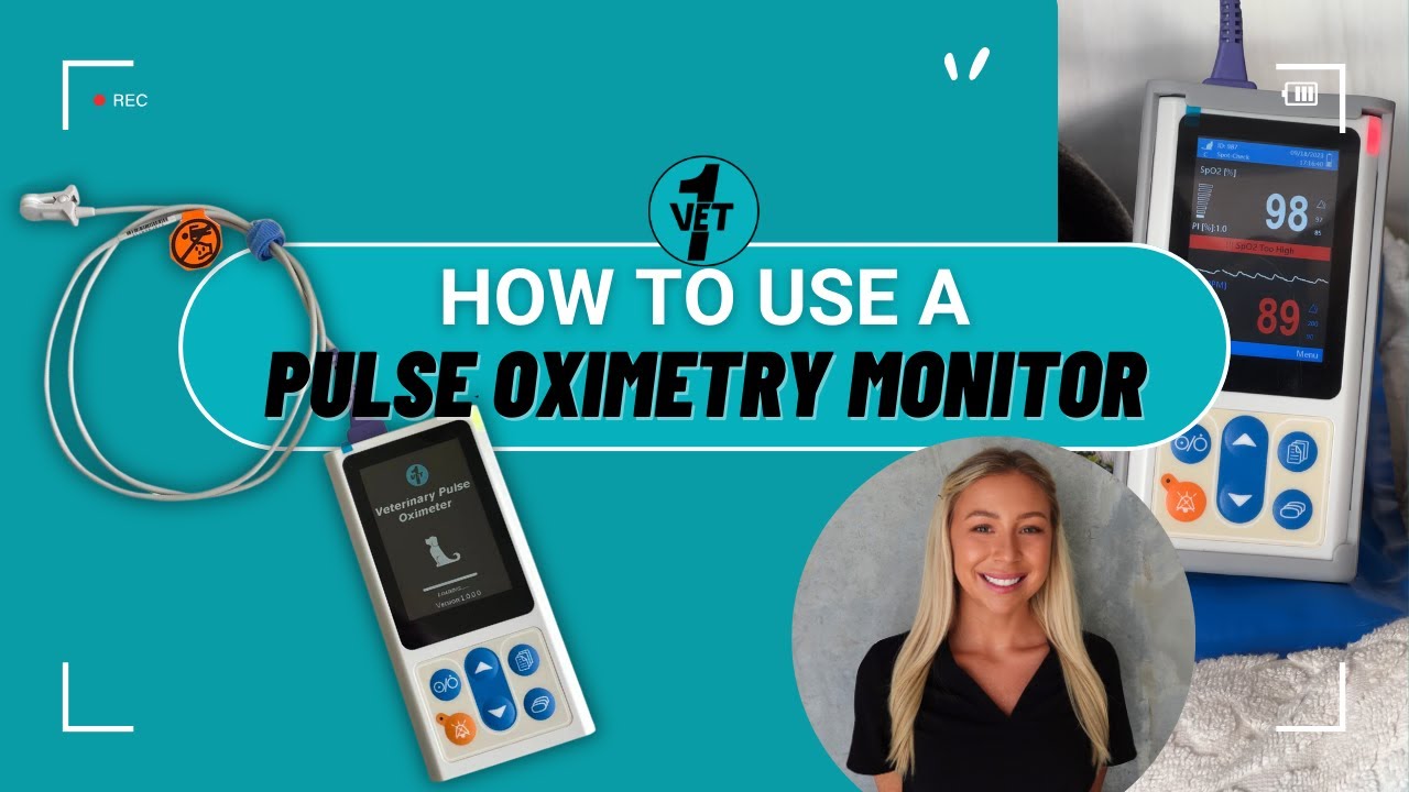How to use a Veterinary Pulse Oximetry Monitor 🩺🐶🏥🐾