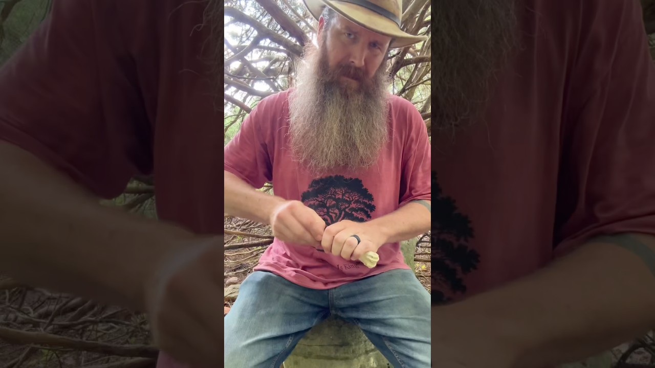 Stone Age Survival 🔪 #bushcraftknife #flintknapping #primitiveskills #novembersouth