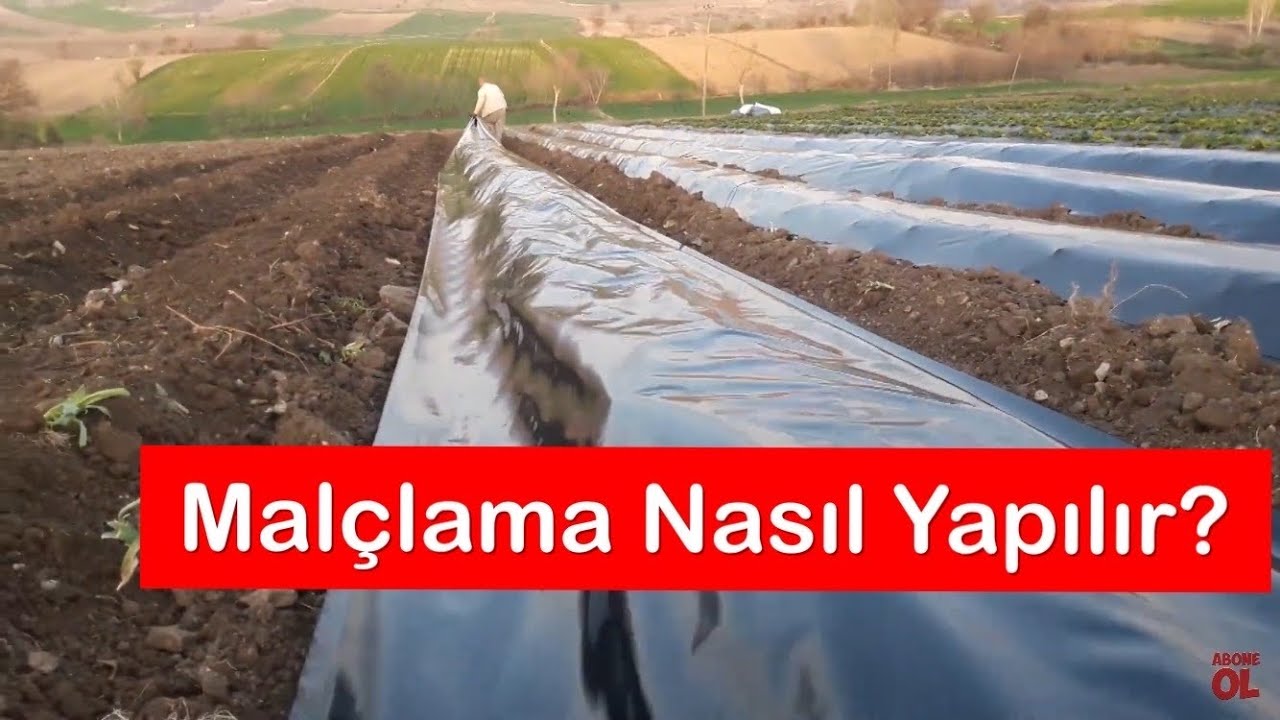 Malçlama Nasıl Yapılır? Malç Nasıl Yapılır?