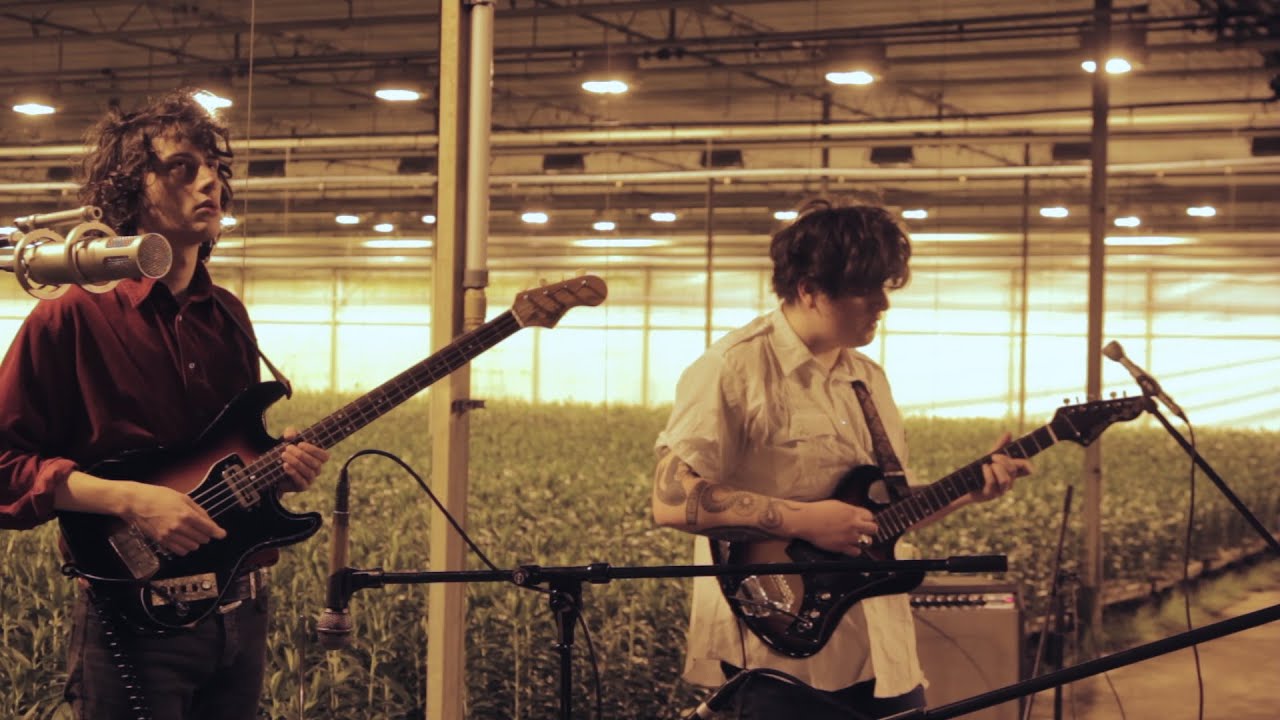 Torii - Honey & Submerged (The Daily Indie x Subbacultcha L.A.N.)