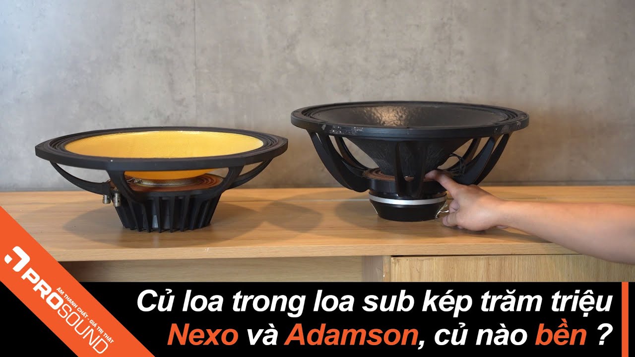 Củ loa Nexo RS15 và Adamson Point 215 - Củ Loa Nào Bền ??